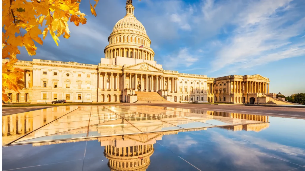 Know Before You Go: The​​ USA Educational System (Primary to University)